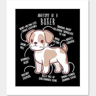 Boxer Dog Parti Color Anatomy Posters and Art